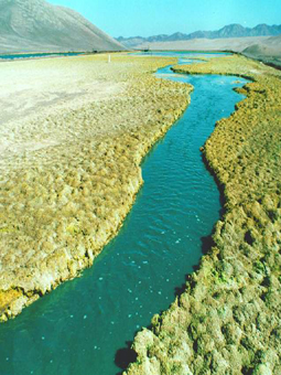 Río de sulfatos y soluciones químicas de lixiviación