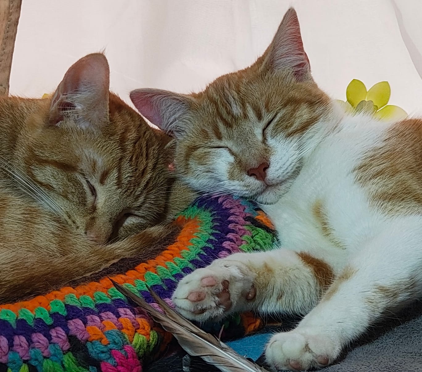 Kurita y Panchita